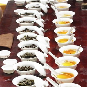 帝峰生态茶