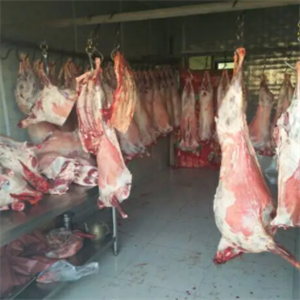 新疆和田玉石故乡牛羊肉批发零售店羊肉
