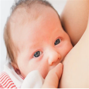 酷幼母乳营养优化系统新鲜
