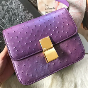 炫彩箱包皮具紫色