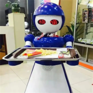 机器人快餐娃娃菜