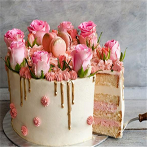 56°cake花盆蛋糕