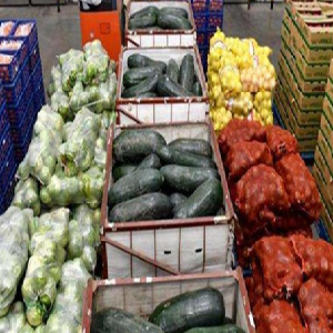 生鲜蔬菜配送蔬菜分类