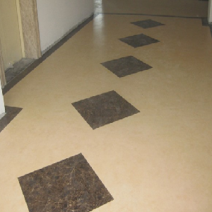 金鼠石塑地板
