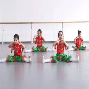 小芳舞蹈民族舞
