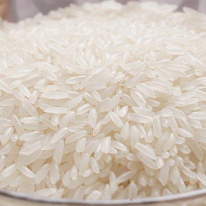 国宝大米稻米