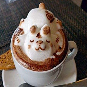 泰竺老挝冰咖啡小猫