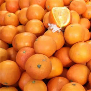 湘潭鲜果邦橙子