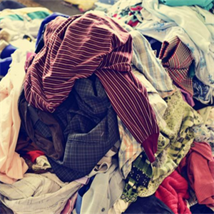 松鼠环保旧衣服回收卫生