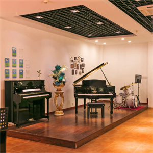 优艺嘉文化艺术中心钢琴