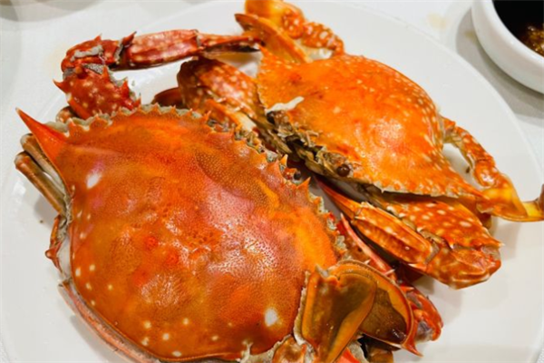 乐岛假日海鲜自助餐厅蟹