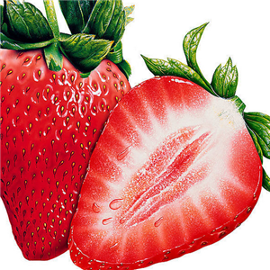 优选果业草莓