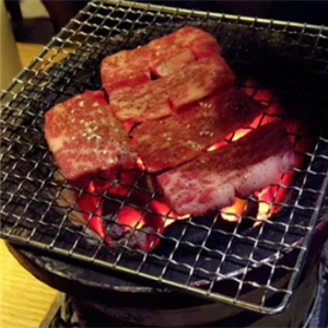 梨叁岁炭火烤肉鲜肉