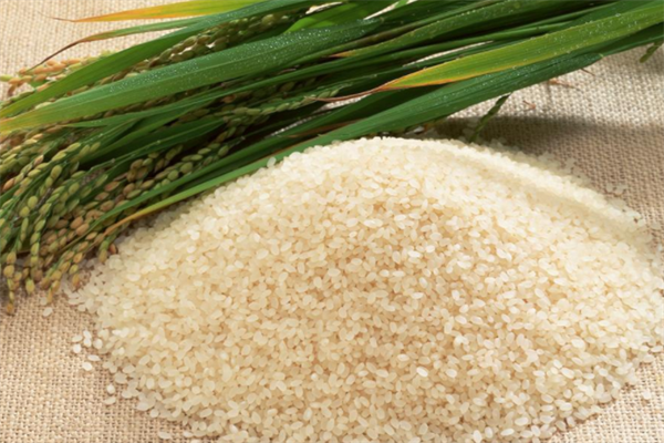 盛发大米产品