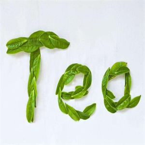 绿腾茶叶健康