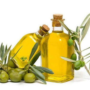 吉利树橄榄油美味