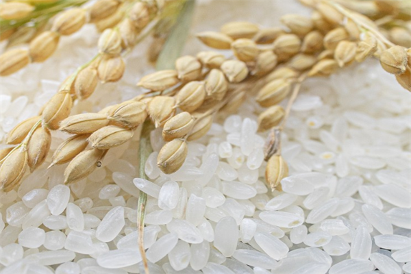 盘锦米业卫生