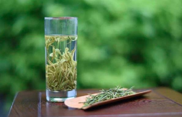 晓阳春崂山绿茶