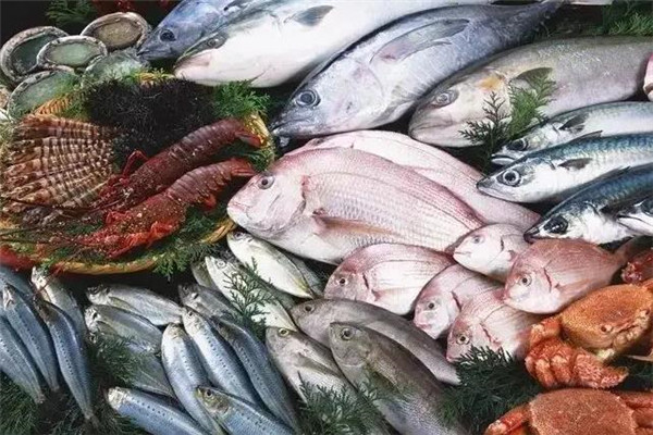 拓海食品产品