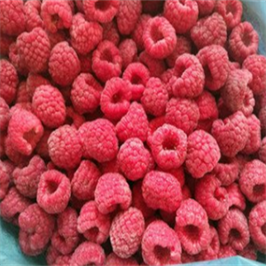 菜阳瑞光食品冻草莓