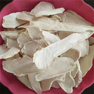 农兴食品蘑菇片