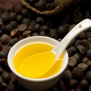 农艺茶籽油食品含量丰富