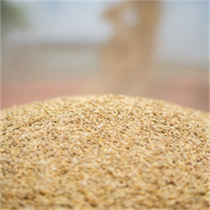 那空沙旺米业质量