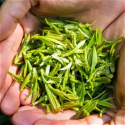 乡绿珠茶业