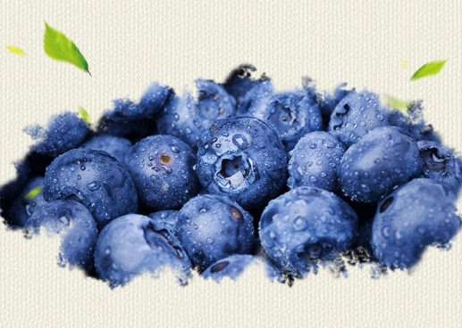 泰和速冻蓝莓食品