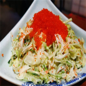 盛丼日式料理蔬菜沙拉