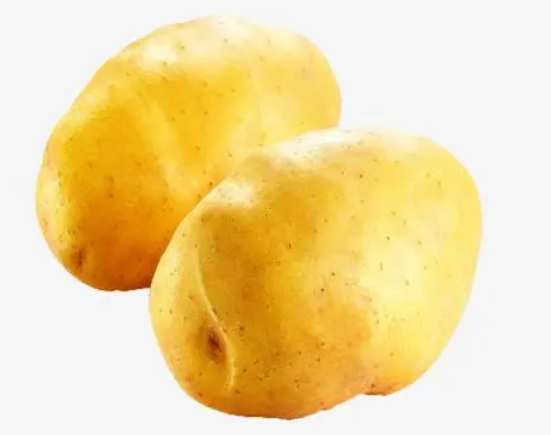 金冬薯业可口