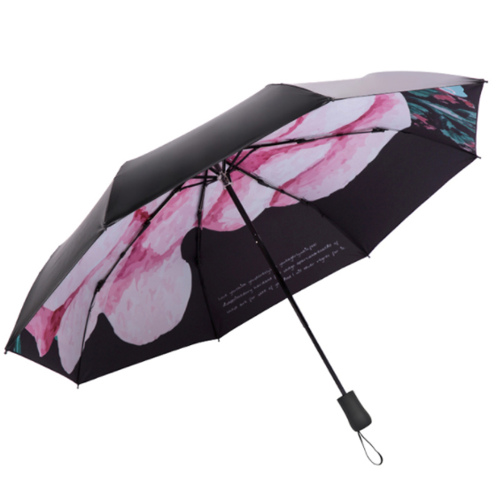 菲诺雨伞花朵