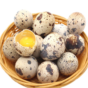 金源蛋品鴨蛋鵪鶉蛋