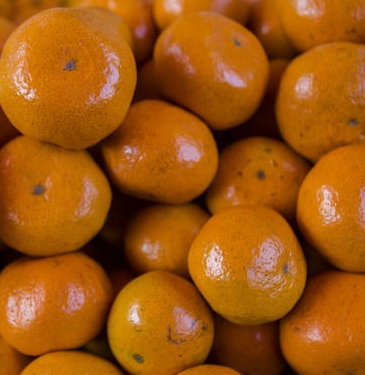 银丰水果橘子