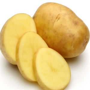 吉隆果蔬制品土豆