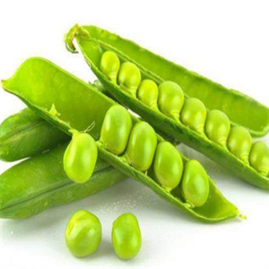 科农食品豌豆