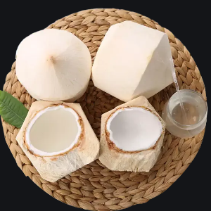 香树食品椰子