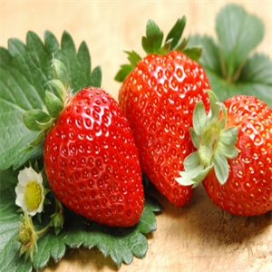 华威草莓油桃
