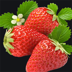 桔果飘香果业草莓