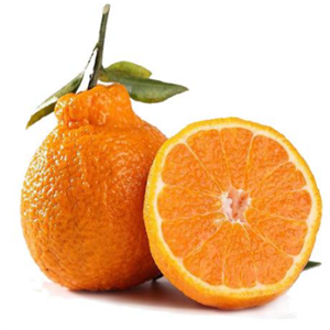 四会金味贸易橘子