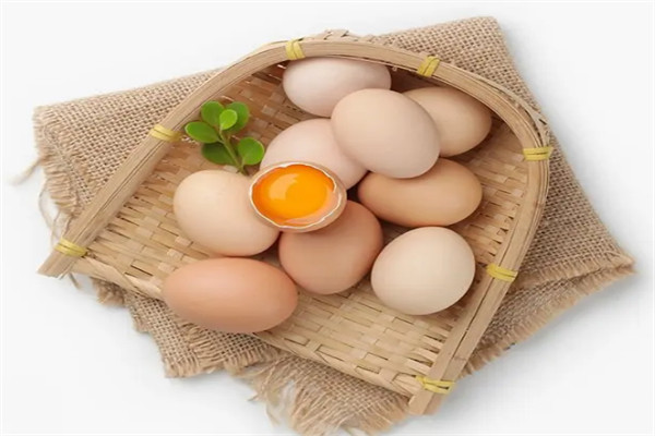 圆绿食品鸡蛋