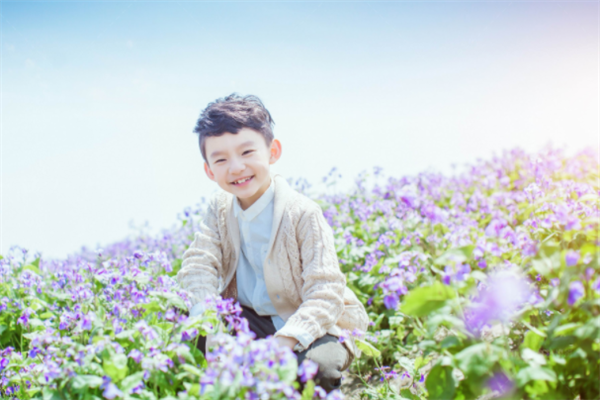 韩式儿童摄影薰衣草