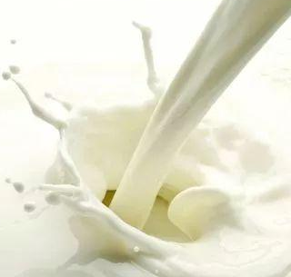 尚纯生态食品牛奶