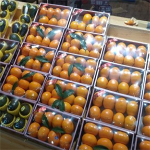 水果直销中心橙子