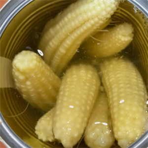 广发罐头食品玉米