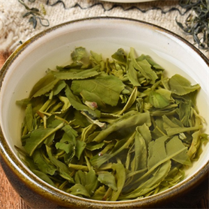 茶叶专卖店绿茶