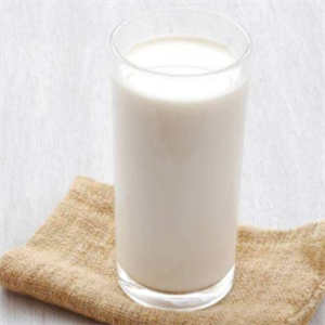 牛奶代理纯牛奶