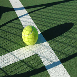 齐动力网球方便