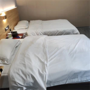 宾悦酒店双床