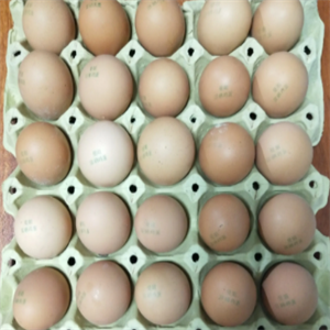 富硒食品鸡蛋